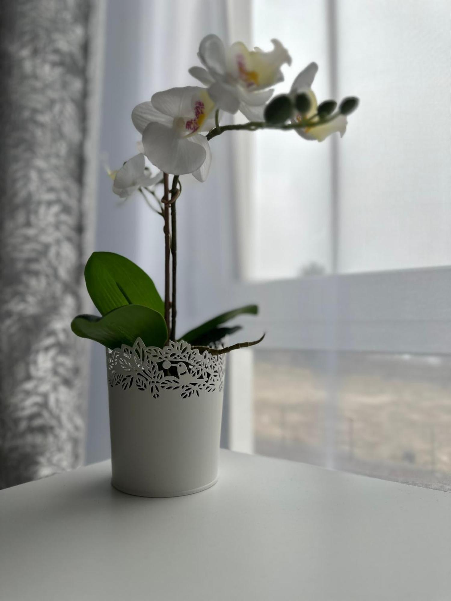 Premium Apartment - Orchidea - Self Check-In Жешув Экстерьер фото